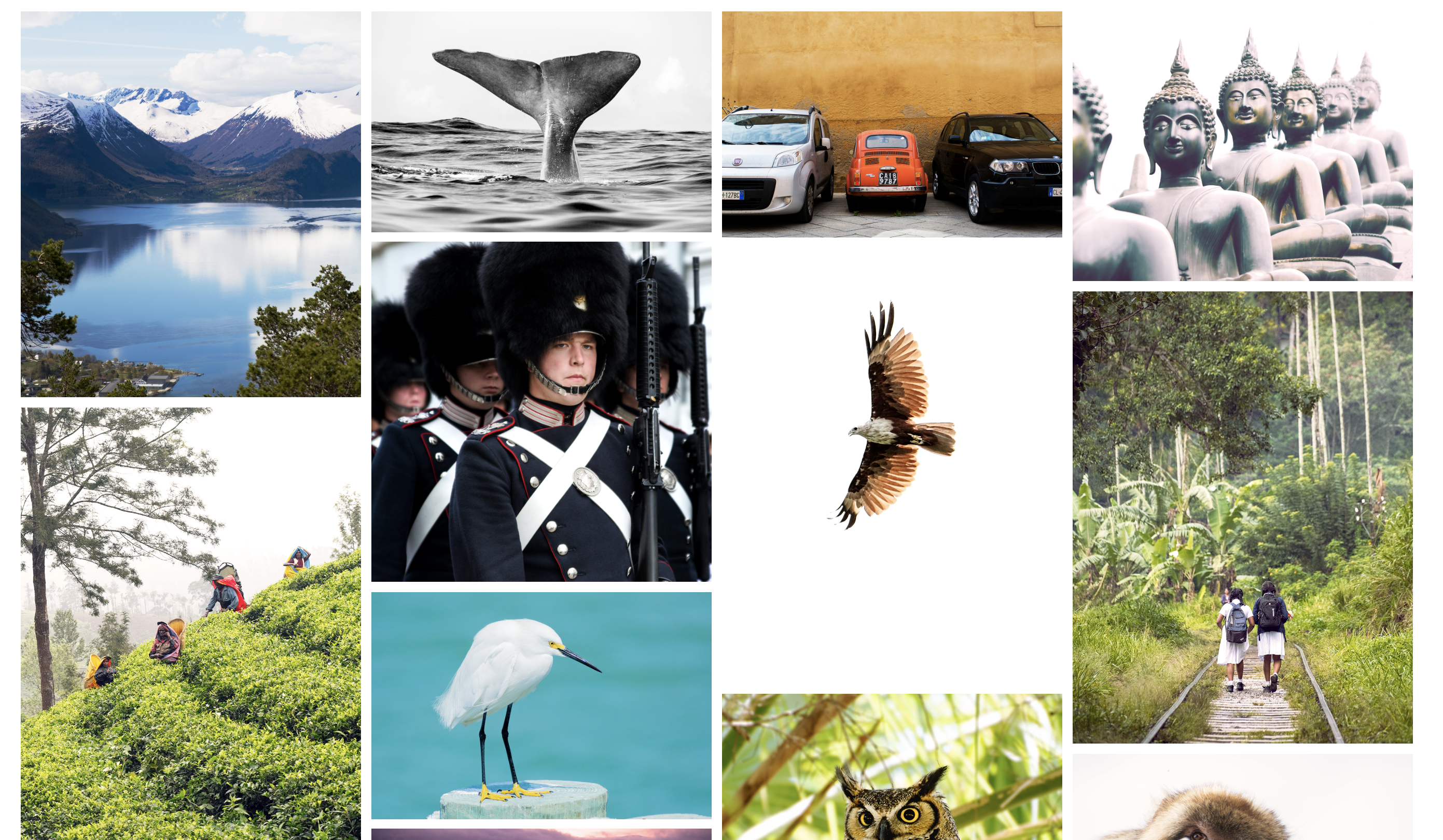 Screenshot 2018-11-21 at 16.08.33.png